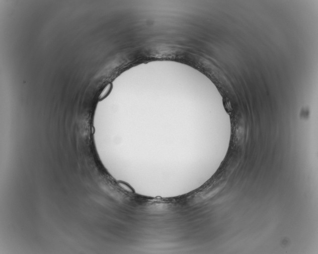 X0000090750620200708172029