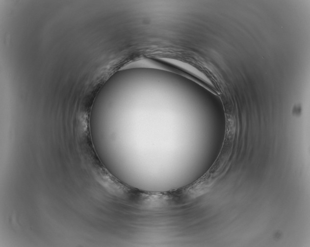 X0000090750621200708172029