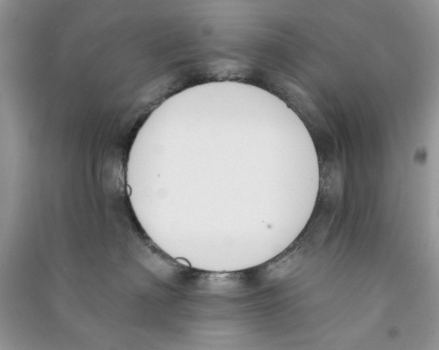 X0000090750622200708172029