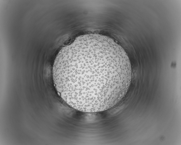 X0000090750623200708172029