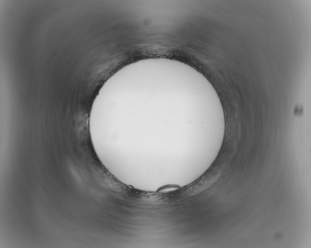 X0000090750624200708172029