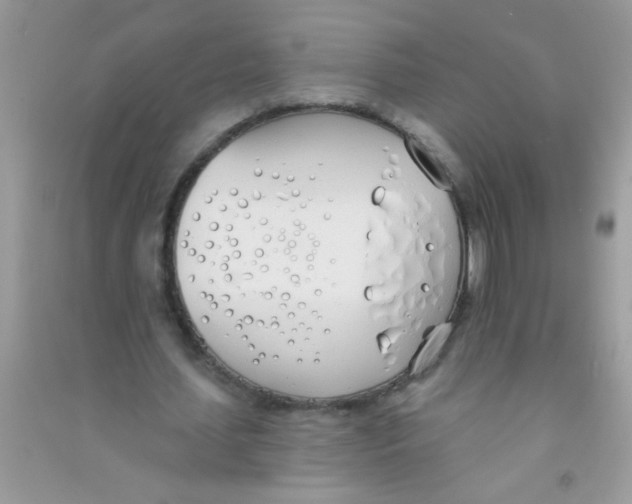 X0000090750627200708172028