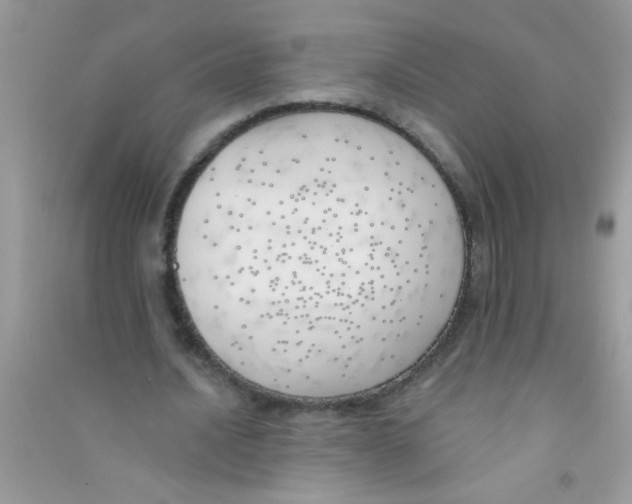 X0000090750628200708172028