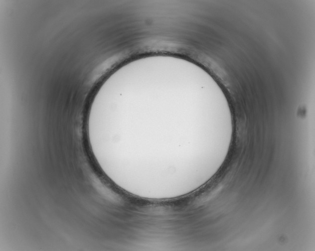 X0000090750629200708172028