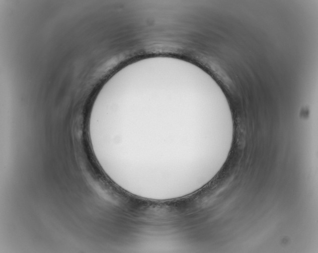 X0000090750631200708172028