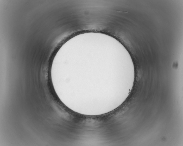 X0000090750632200708172028