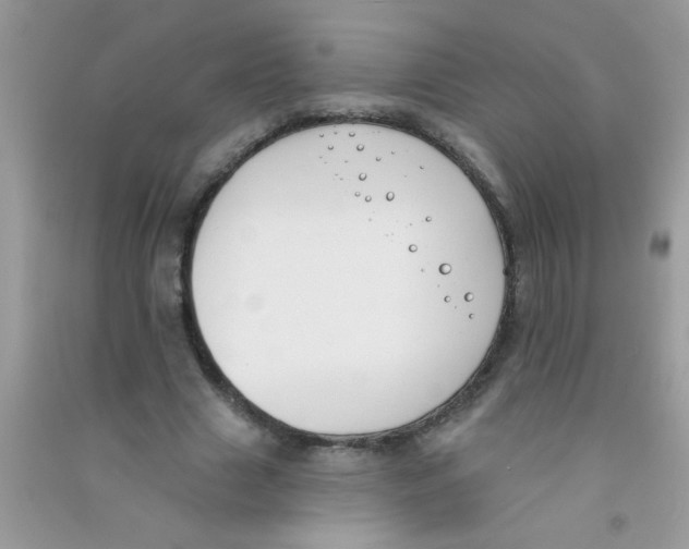 X0000090750633200708172028
