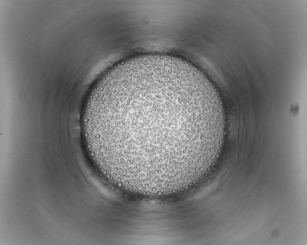 X0000090750634200708172028