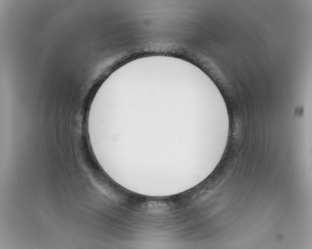 X0000090750636200708172028