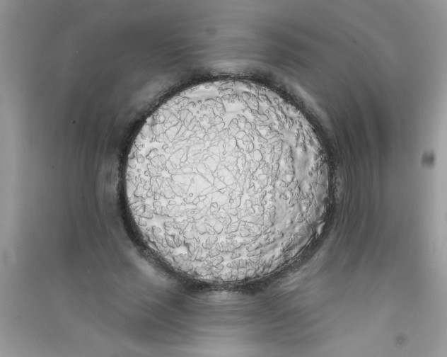 X0000090750637200708172028