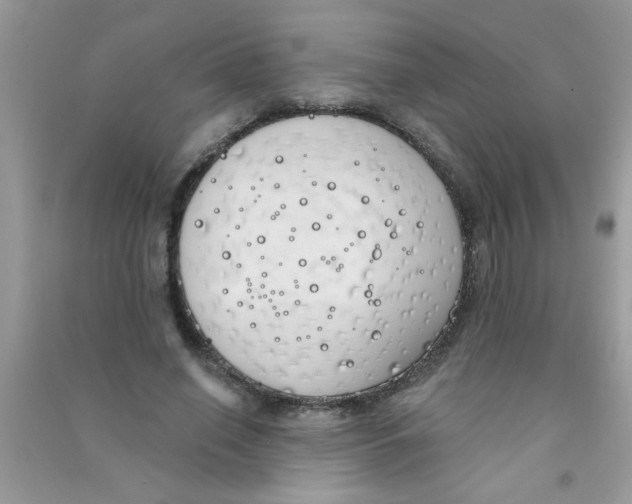 X0000090750638200708172028