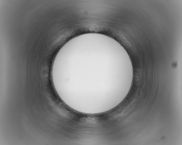 X0000090750639200708172028