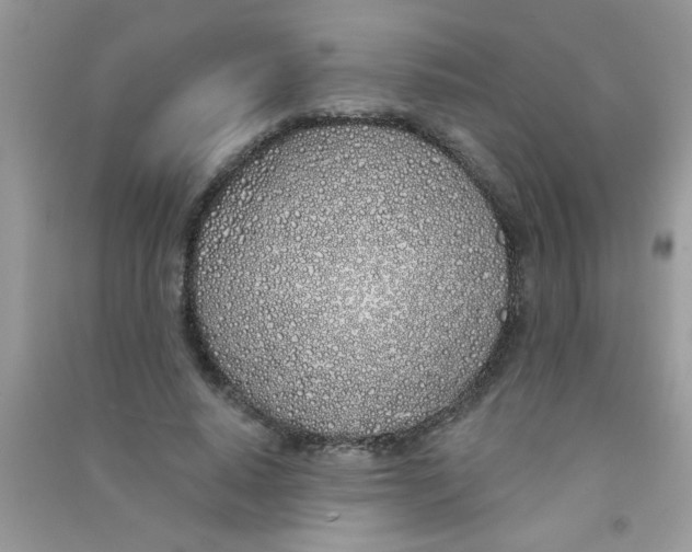 X0000090750640200708172028
