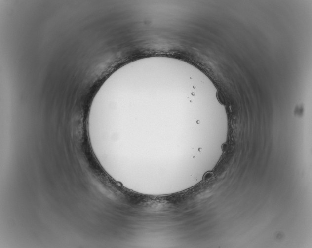 X0000090750642200708172028