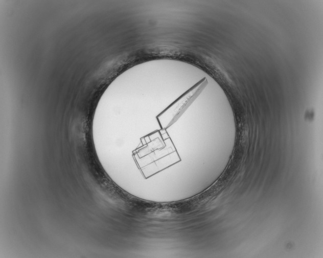 X0000090750643200708172028