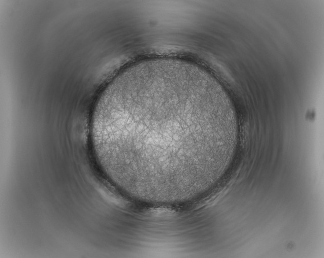 X0000090750644200708172028