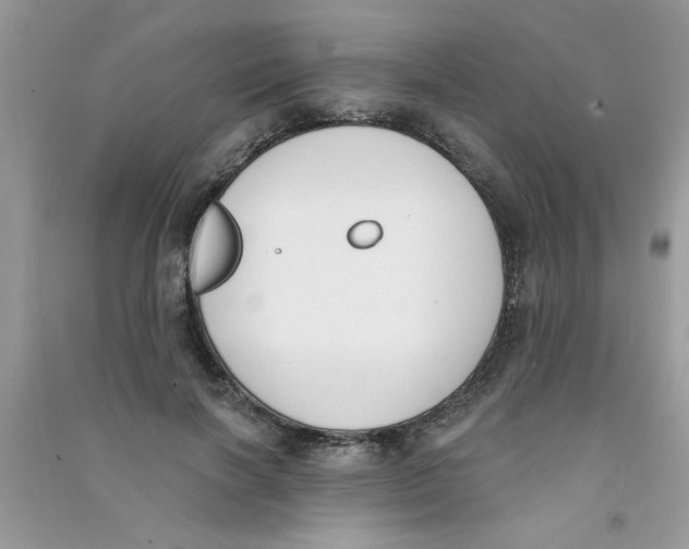 X0000090750646200708172028