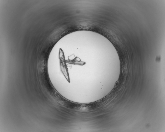 X0000090750647200708172028