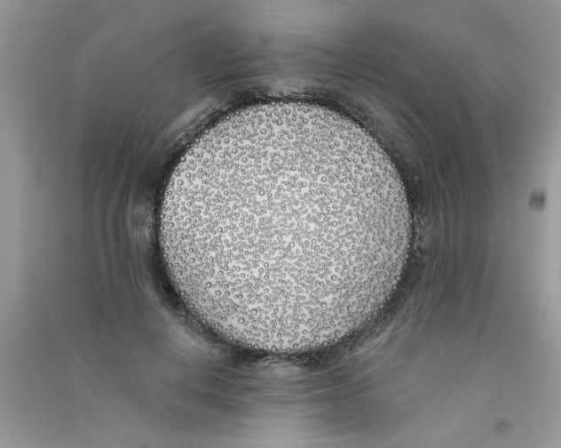 X0000090750648200708172028
