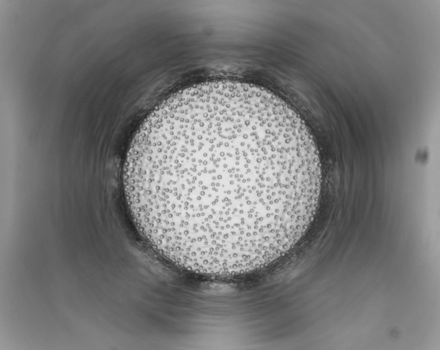 X0000090750649200708172028