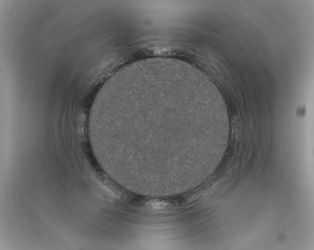 X0000090750650200708172028