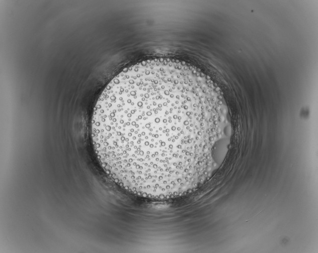 X0000090750651200708172028