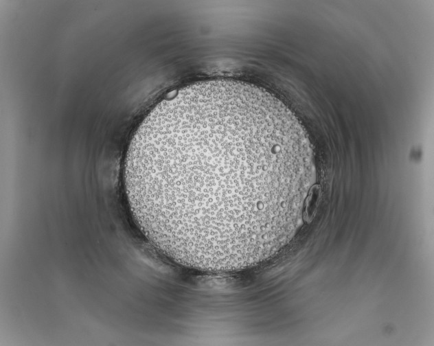 X0000090750652200708172028