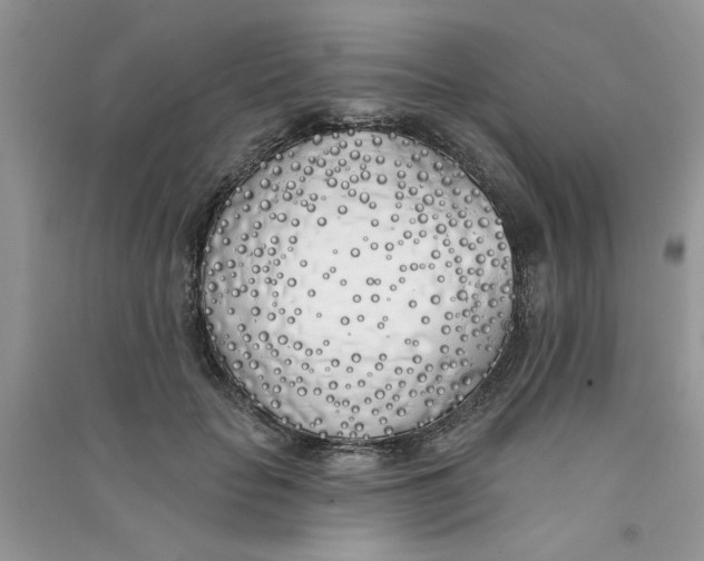 X0000090750653200708172028