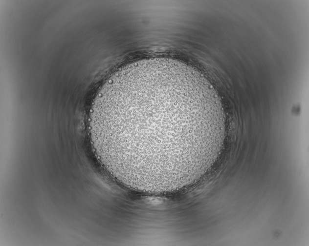 X0000090750654200708172028