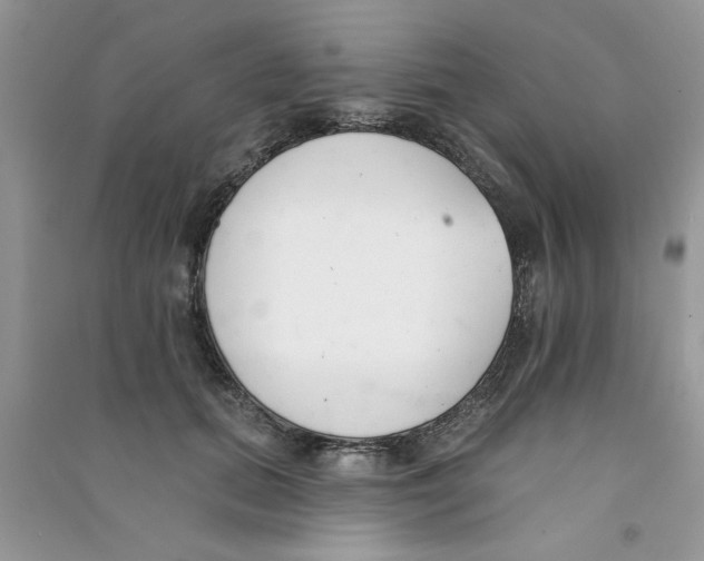 X0000090750655200708172028