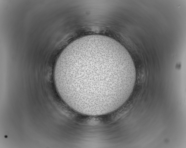 X0000090750656200708172028
