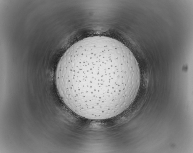 X0000090750657200708172028
