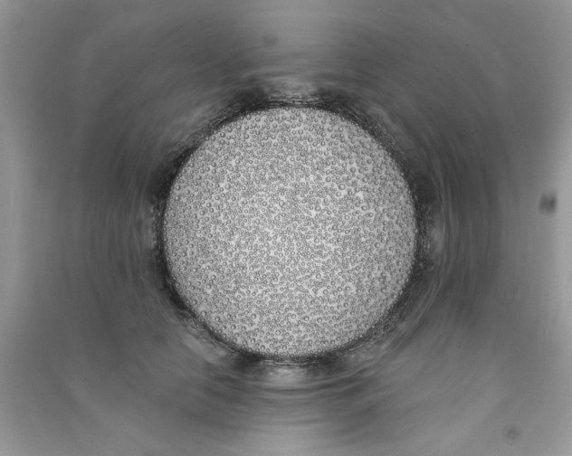X0000090750658200708172028