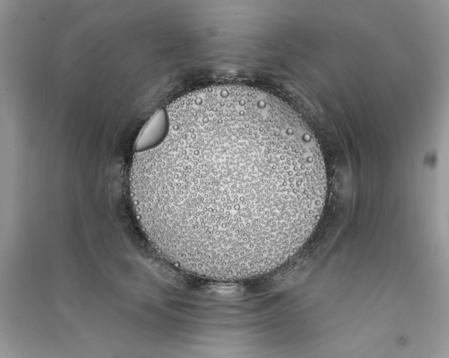 X0000090750659200708172028