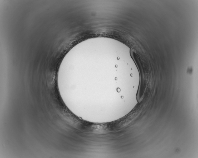 X0000090750660200708172028