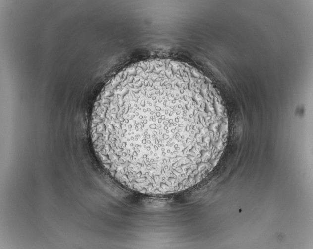 X0000090750661200708172029