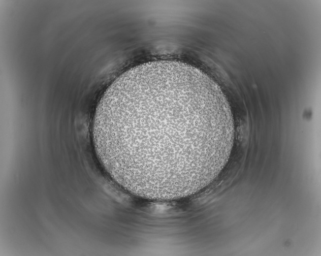 X0000090750662200708172029