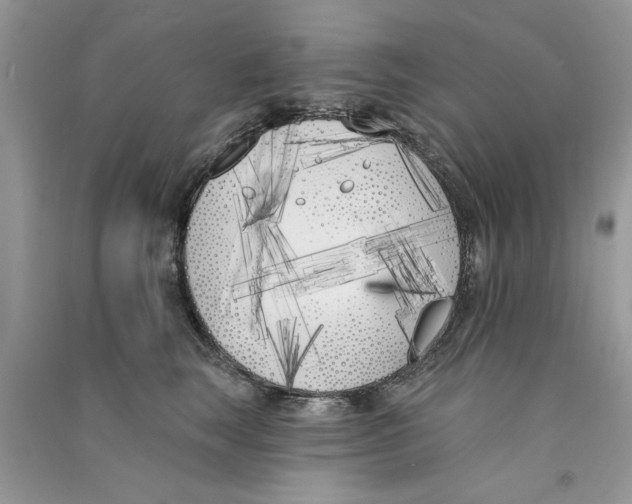 X0000090750663200708172029