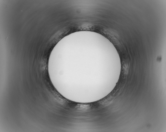 X0000090750665200708172029