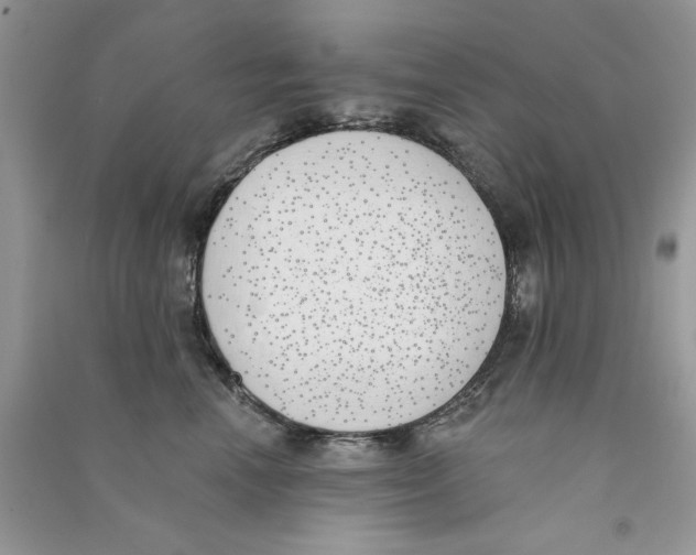 X0000090750666200708172029