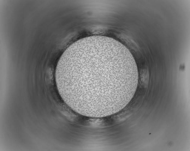 X0000090750667200708172029