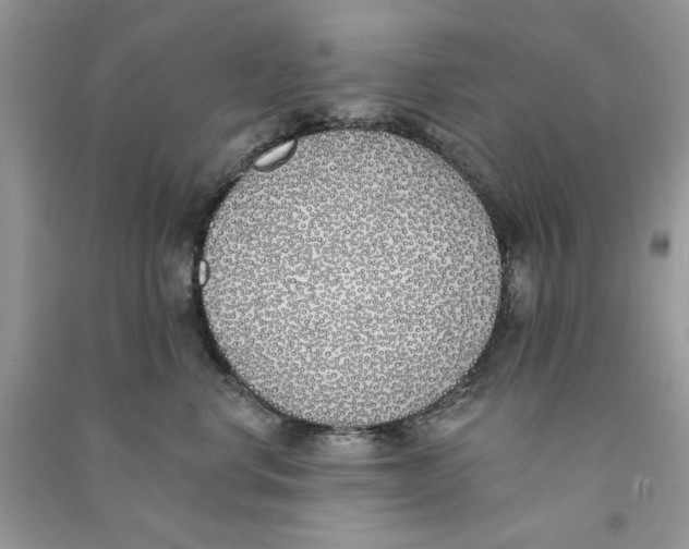 X0000090750668200708172029