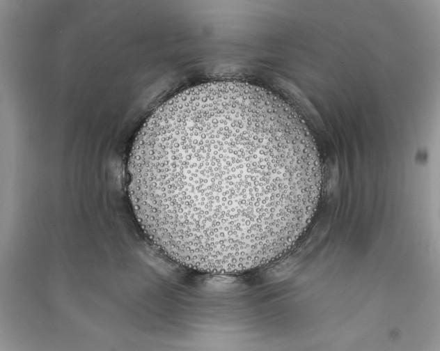 X0000090750669200708172029