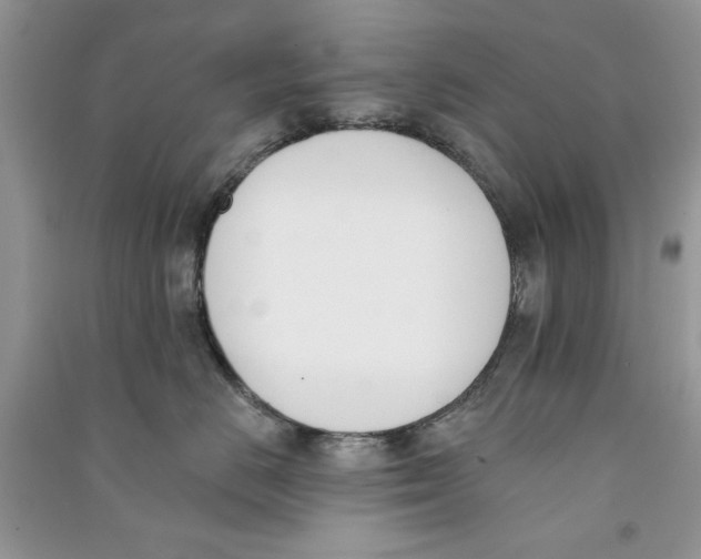 X0000090750670200708172029