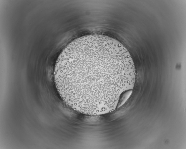 X0000090750671200708172029