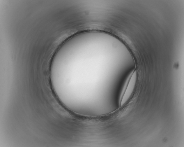 X0000090750673200708172028