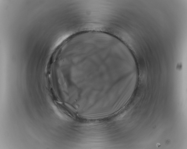 X0000090750674200708172028