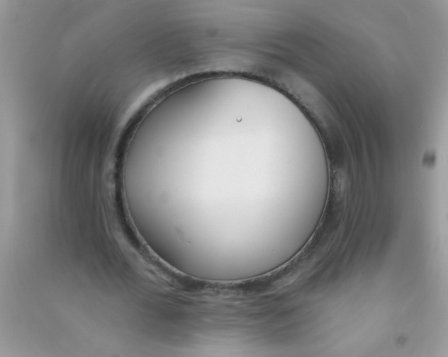 X0000090750676200708172028