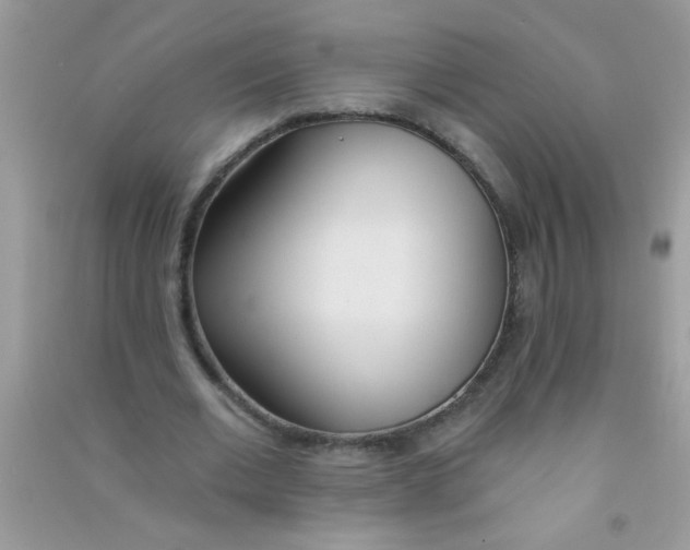 X0000090750677200708172028