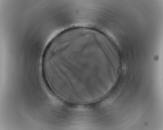 X0000090750678200708172028